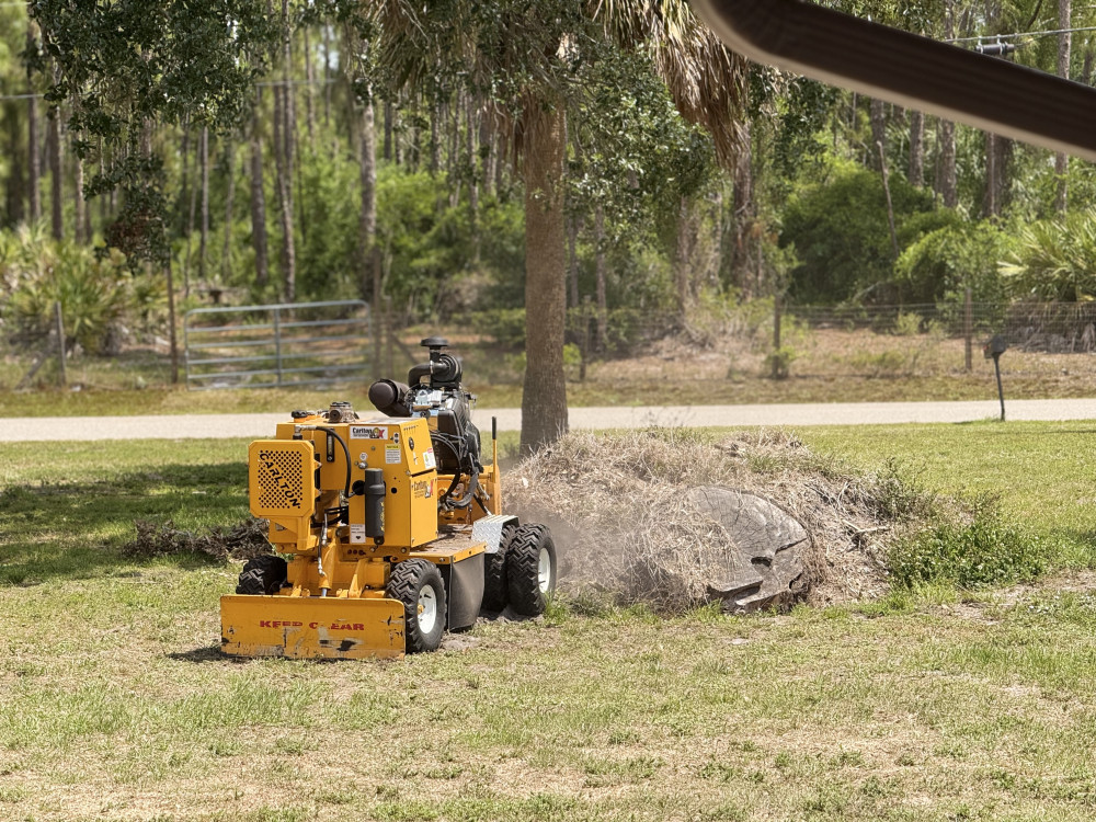 С Божьей помощью — к порядку и красоте