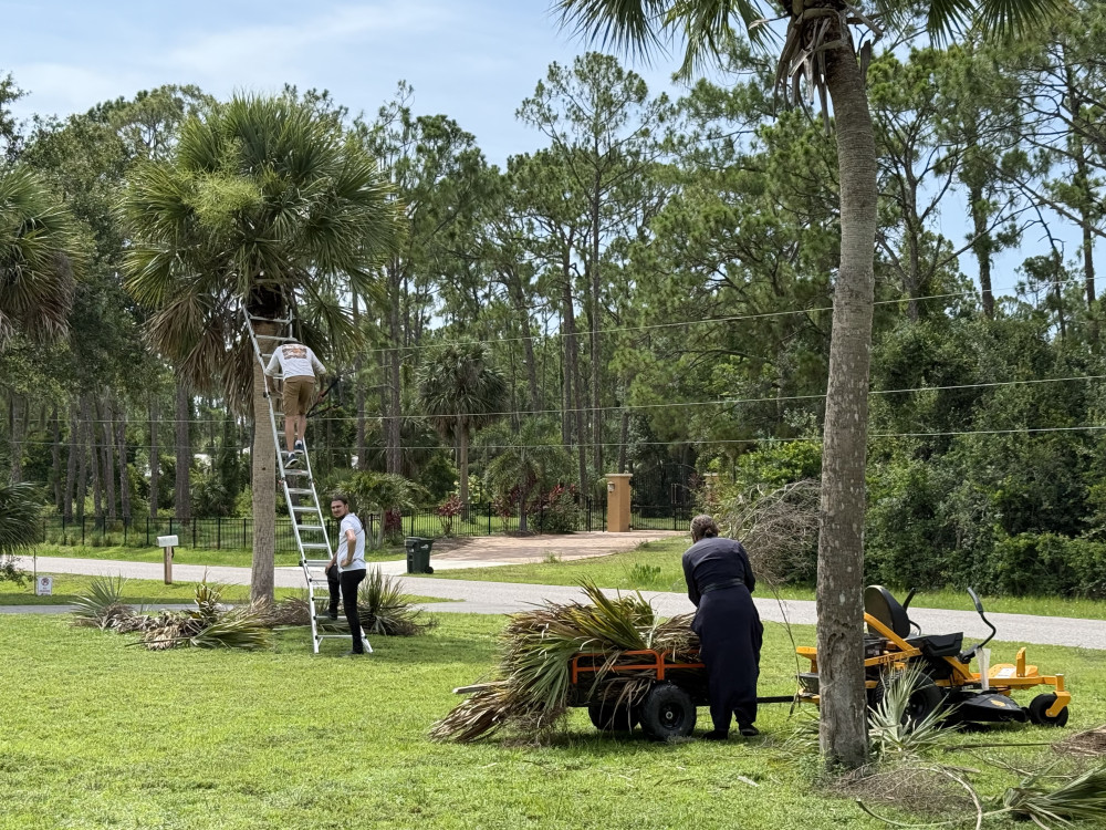 Труд во славу Божию — путь к вечному